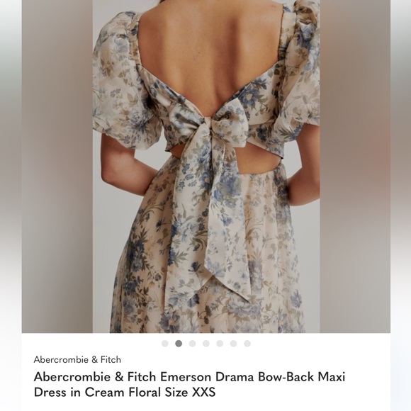 Abercrombie & Fitch Emerson Drama Bow Back Maxi Dress - NWT - Picture 3 of 8
